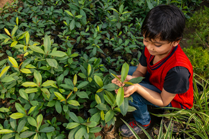 Nature vs Nurture: How to Balance Both for Optimal Child Development