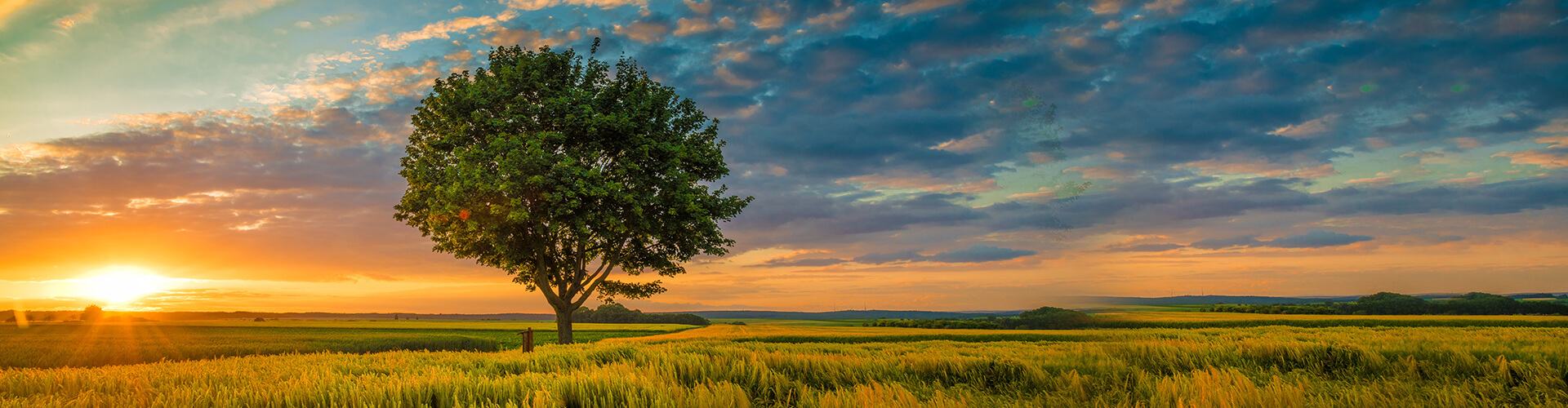 Nature Vs Nurture - Lighthouse