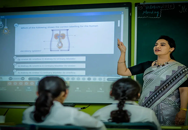 Educator_Impact_Award 1