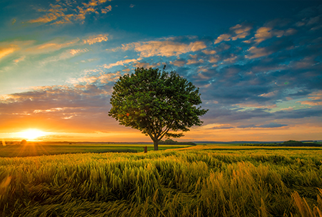 Nature vs Nurture: What does research indicate on this age-old debate?